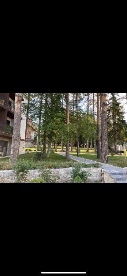 Titova Vila Zlatibor Mountain View Apartment מראה חיצוני תמונה
